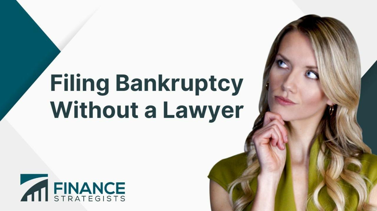 bankruptcy yourself without file lawyer