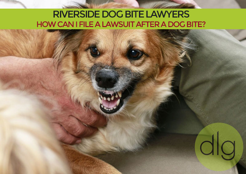 bite riverside lawyers