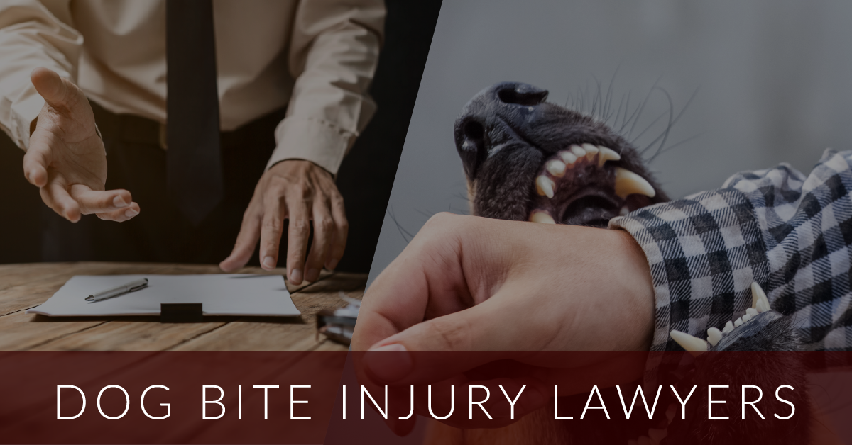 dog bite injury lawyer lawyers angeles los attack victims law